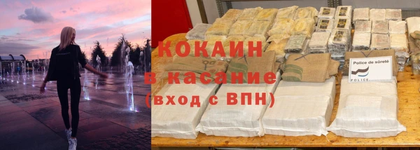 прущие грибы Медвежьегорск