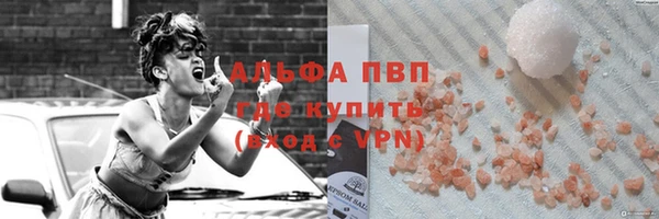 прущие грибы Медвежьегорск