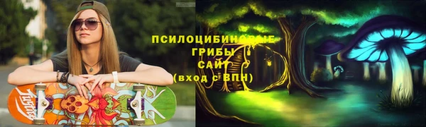 прущие грибы Медвежьегорск