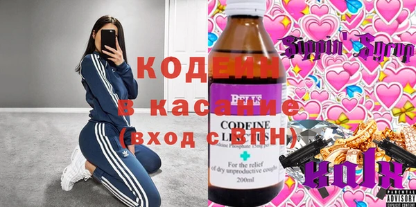 прущие грибы Медвежьегорск