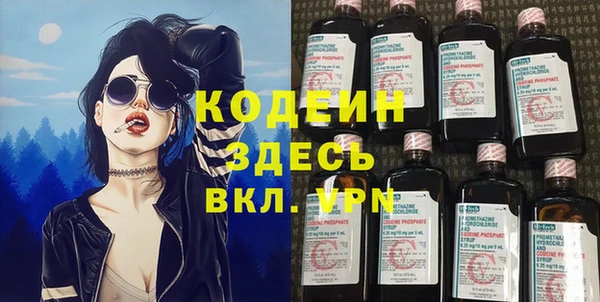 прущие грибы Медвежьегорск
