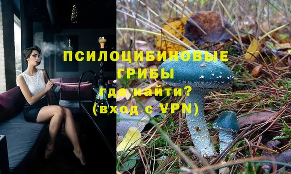 ГАЛЛЮЦИНОГЕННЫЕ ГРИБЫ Майский