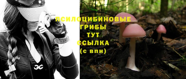 прущий лед Магадан