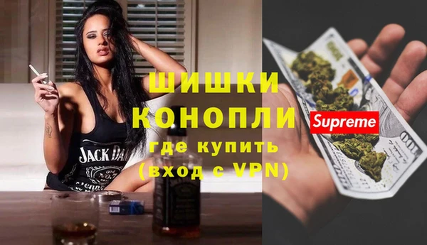прущие грибы Медвежьегорск