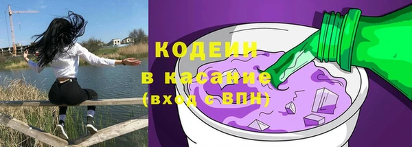 прущие грибы Медвежьегорск